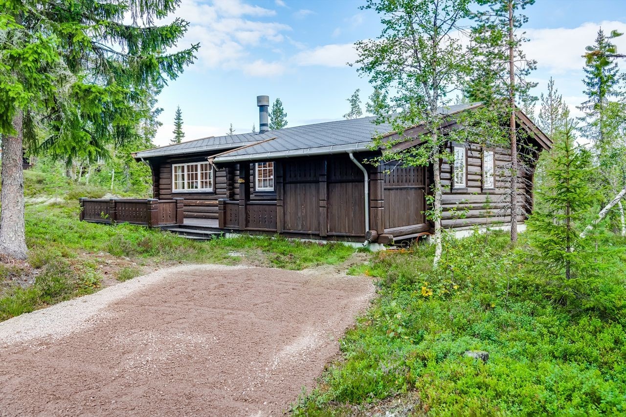 Laftet tømmerhytte med fin beliggenhet i Fageråsen, ski inn og ut fra bakken og med skiløypa rett bak hytta Galleribilde