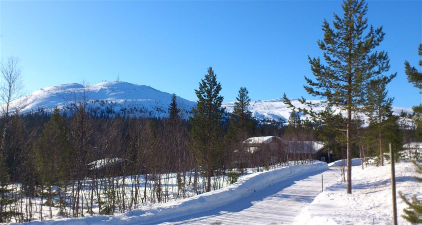 Fageråsen 216 A mot fjellet. Privat bilde Galleribilde