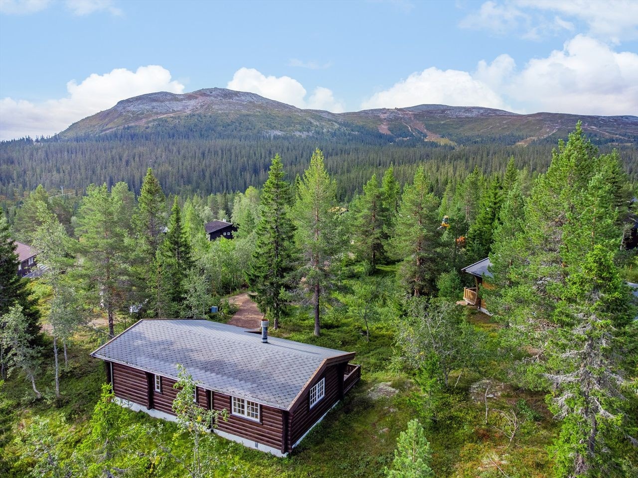 Ski inn til bakkene i Trysilfjellet, her med Nordre Kanken og Fjellroa i bakkant Galleribilde