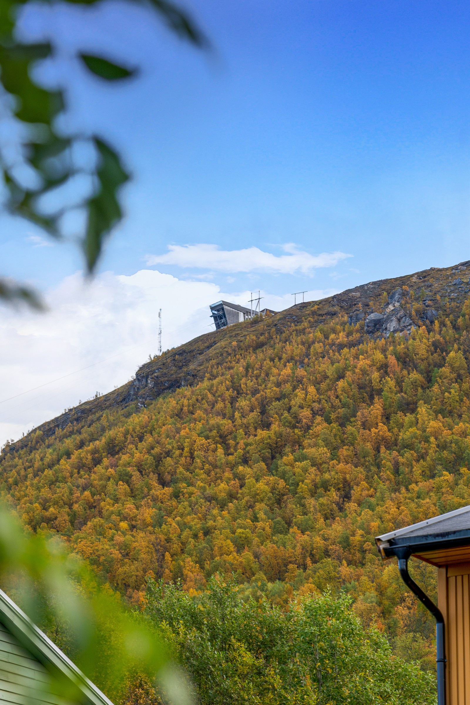 Nærhet til Fløya/Fjellheisen.