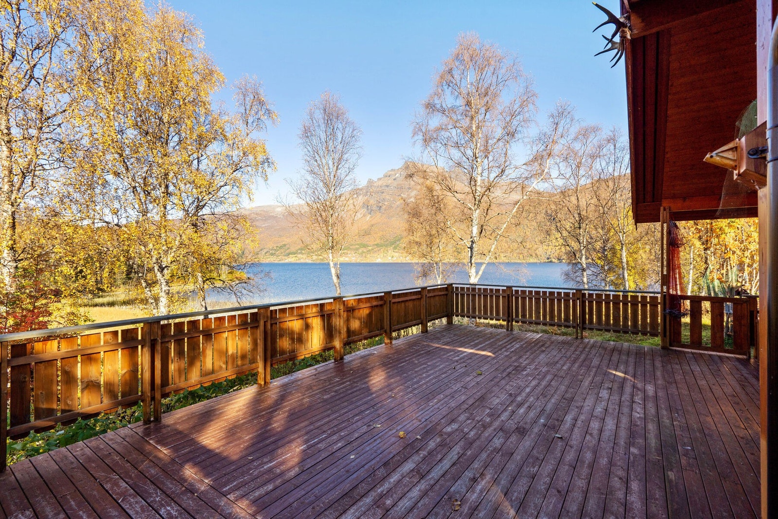 2 fiskeretter i Saltvannet følger med inkl. rett til å fiske med garn Galleribilde