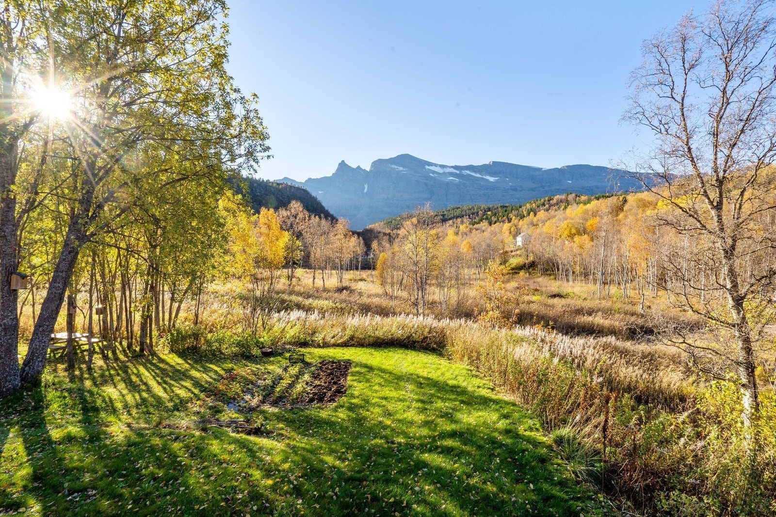 Det er mulighet for varierte aktiviteter som jakt, friluftsliv, bærplukking eller Galleribilde