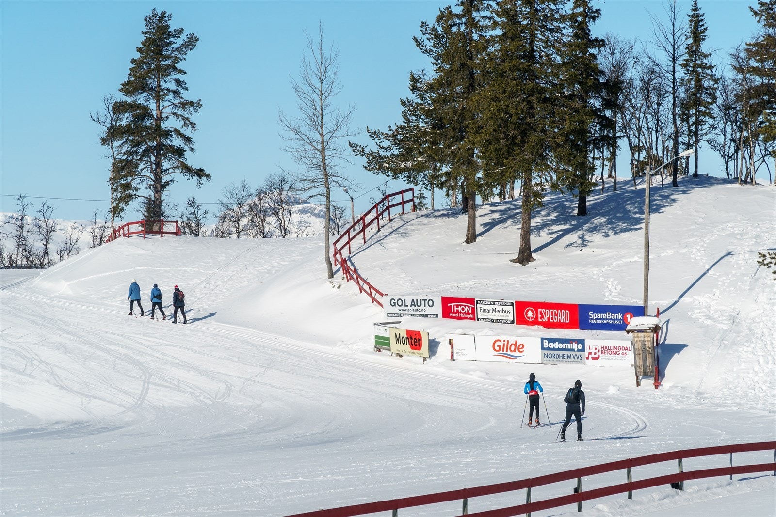Liatoppen vinterstid Galleribilde