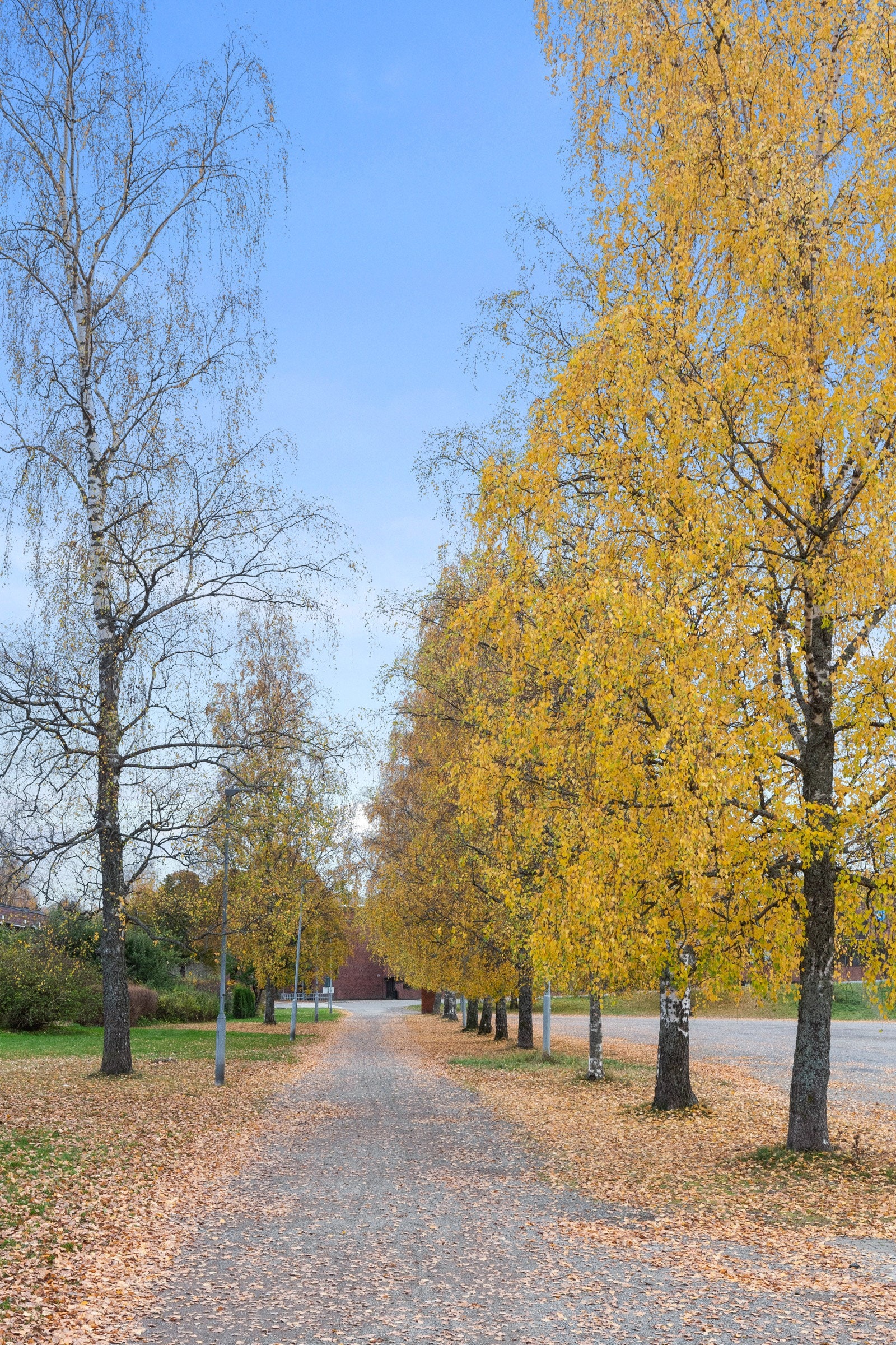 Nærområde Galleribilde
