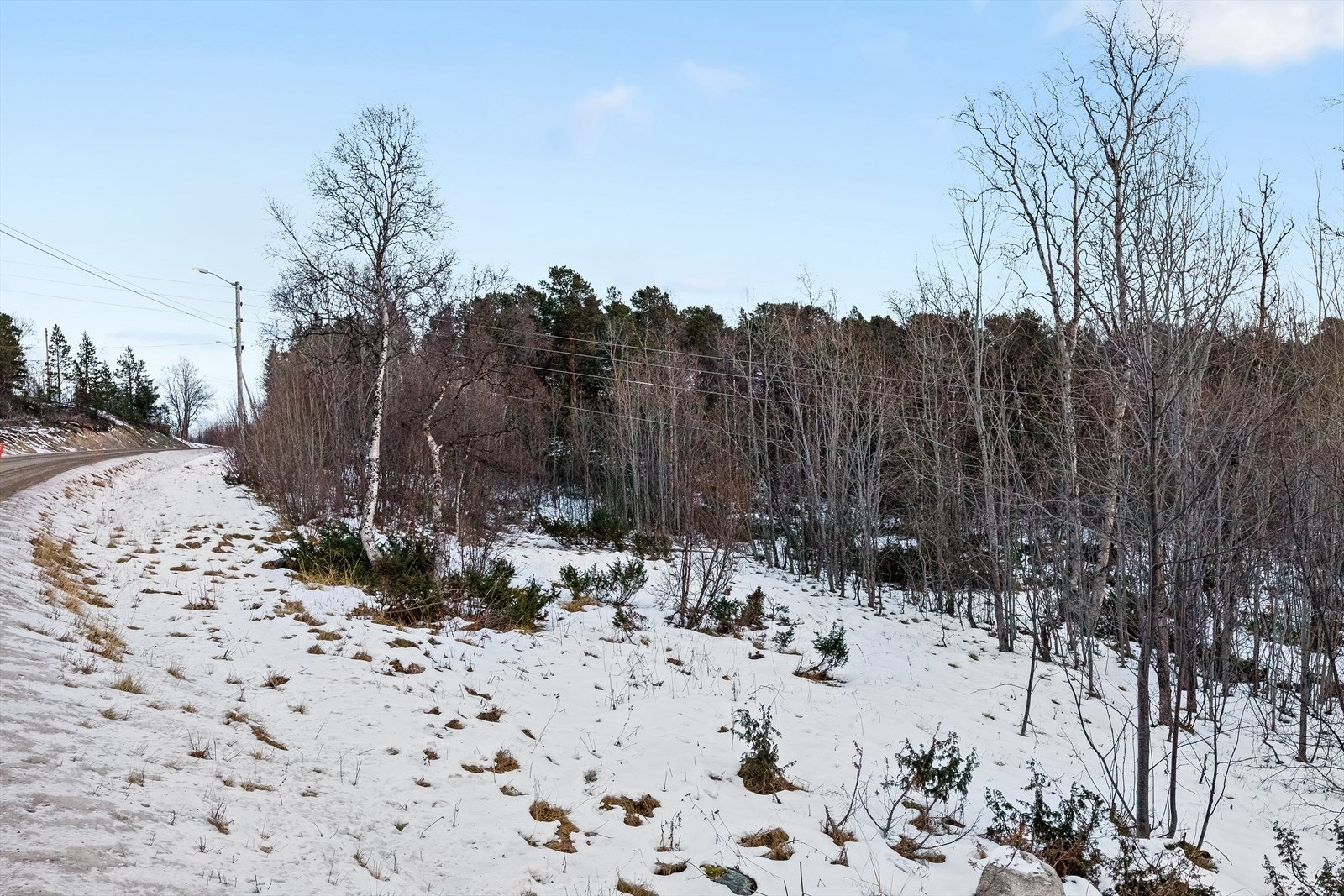 Råtomt ved Simansveien Galleribilde