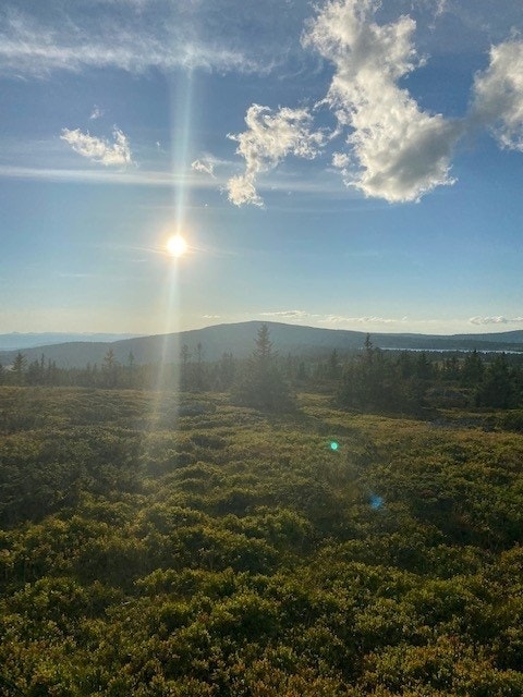 Nordseter som destinasjon er mye brukt, både sommer og vinter. Galleribilde