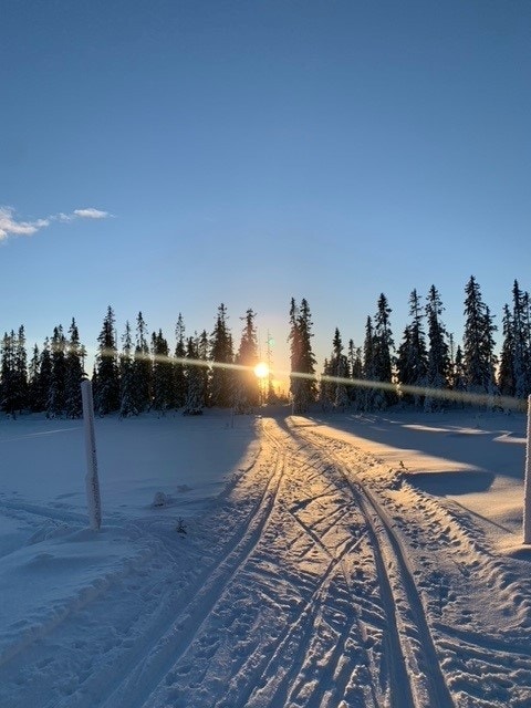 På vinterstid er det oppkjørte skiløyper rett i nærheten av leilighetskomplekset. Galleribilde