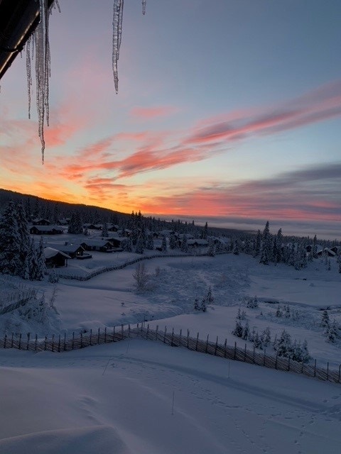 Utsikt fra leiligheten. Galleribilde