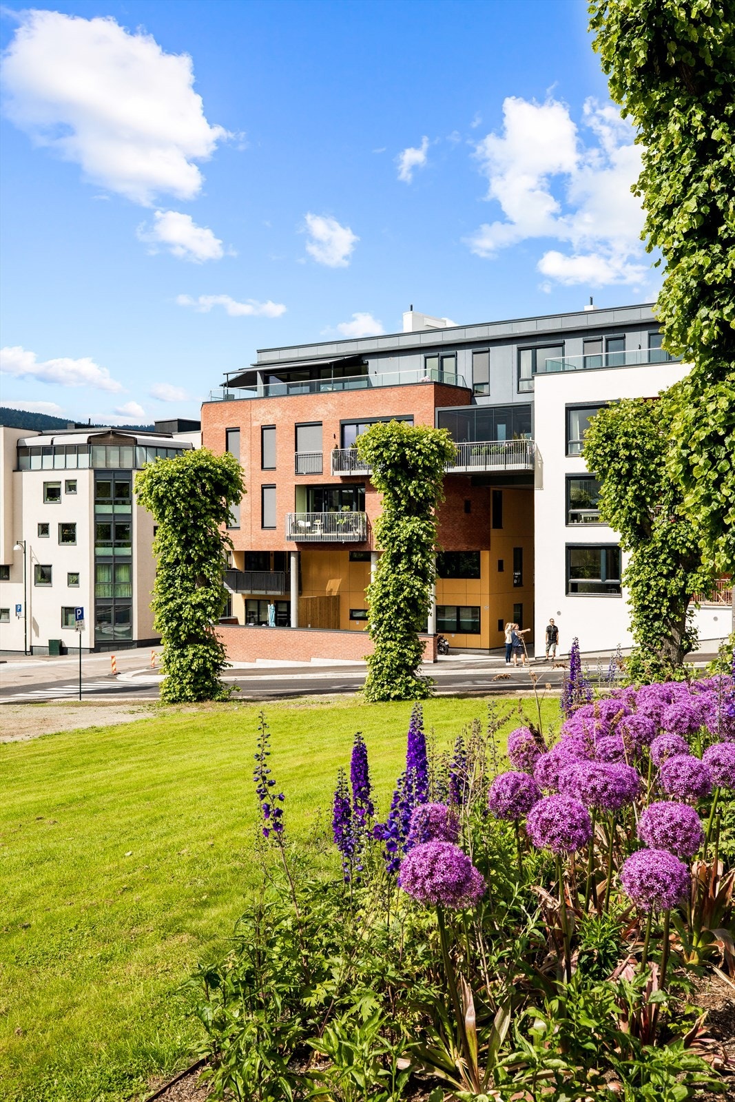 Bilde fra nærområdet Galleribilde