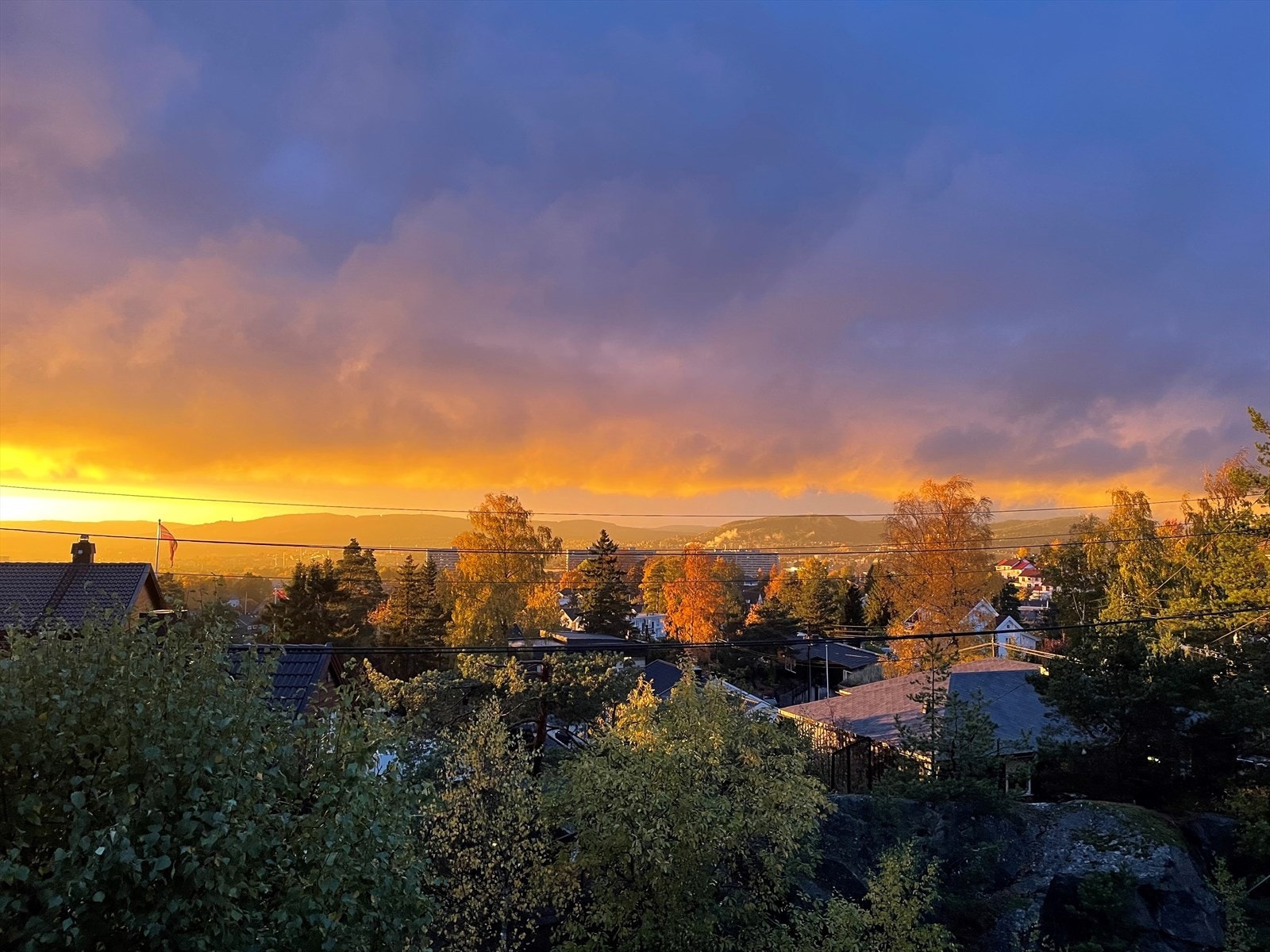 Fantastisk utsikt over Oslo by. Galleribilde
