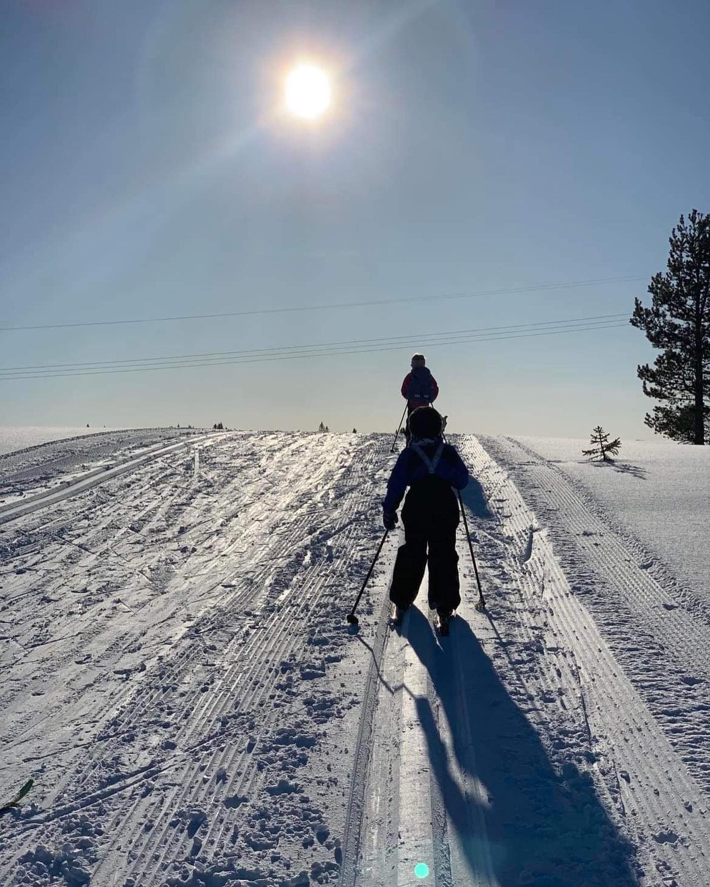 Tomteområdet Galleribilde