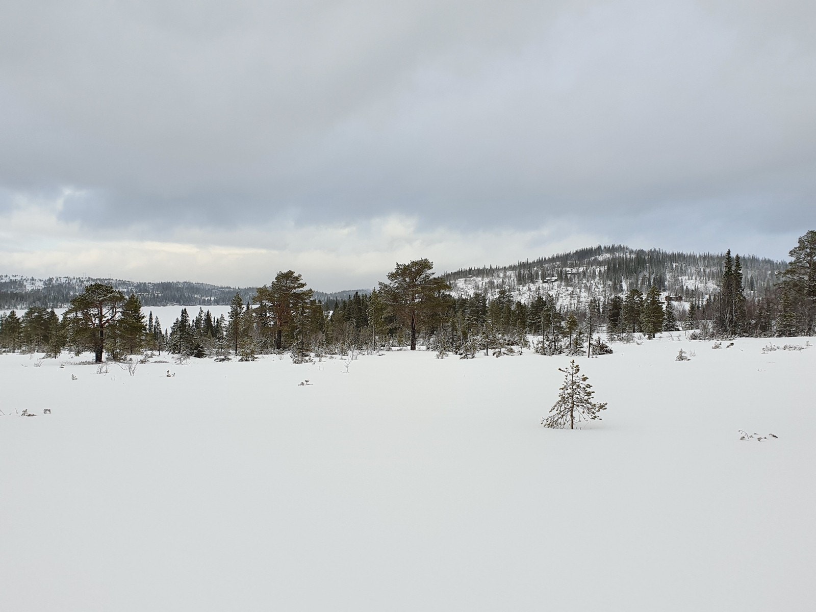 Tomteområdet Galleribilde