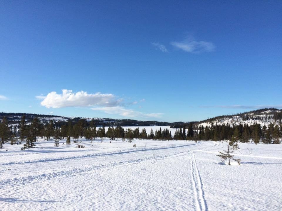 Tomteområdet Galleribilde