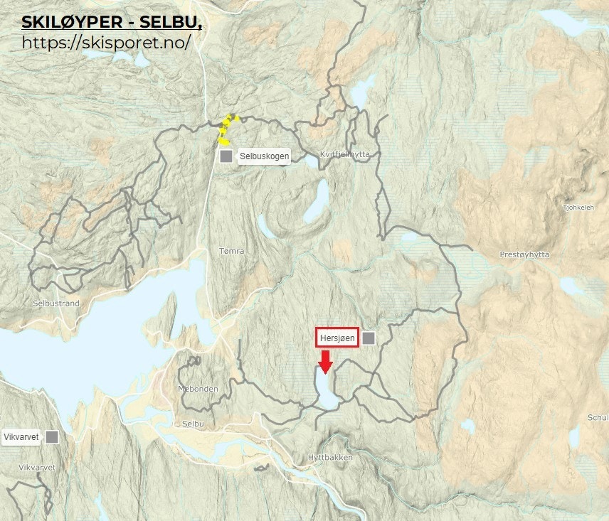 Fantastisk løypenett med milevis av skispor, rett utenfor hyttedøra. Galleribilde