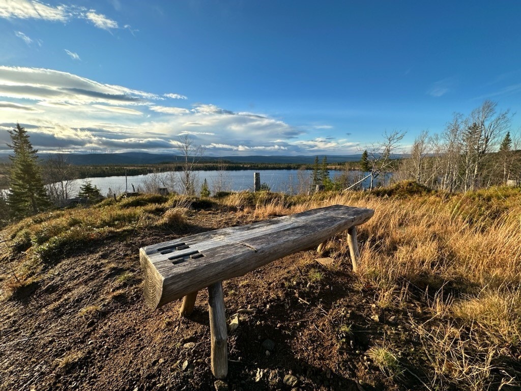 Området har fine friområder, med gapahuk og bord/benker rundt sjøen. Galleribilde