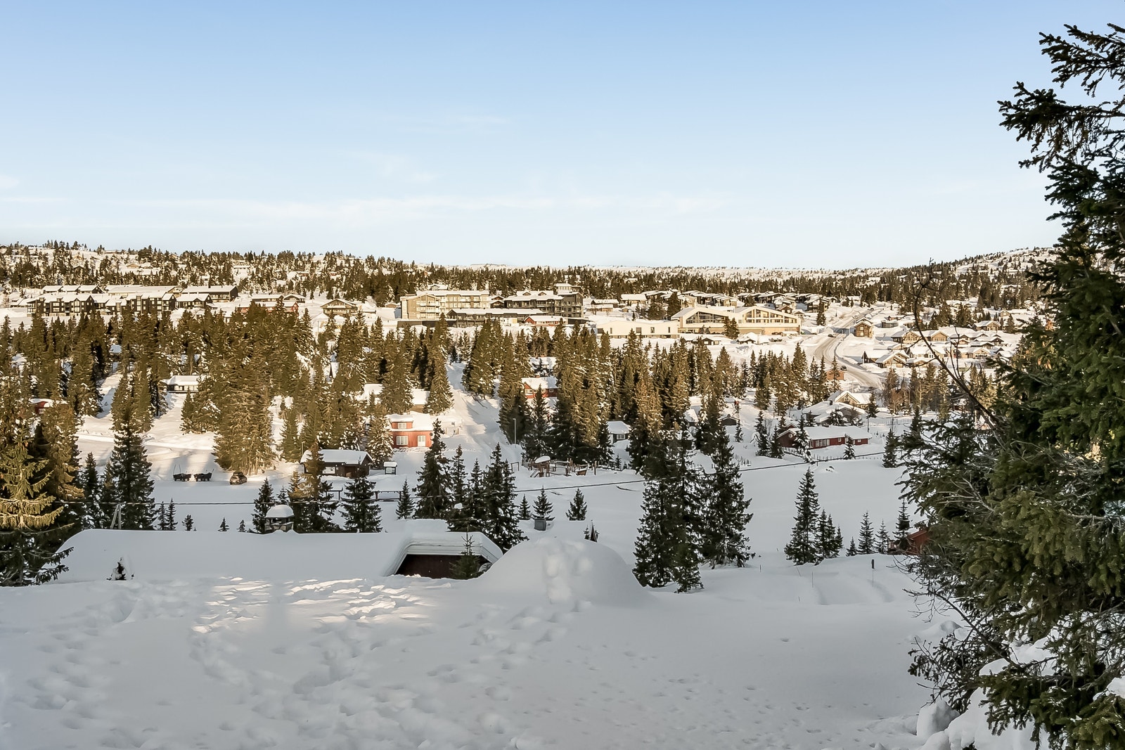 Bilde fra området Galleribilde