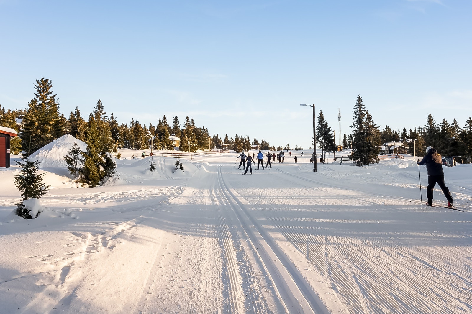 Skiløypene Galleribilde