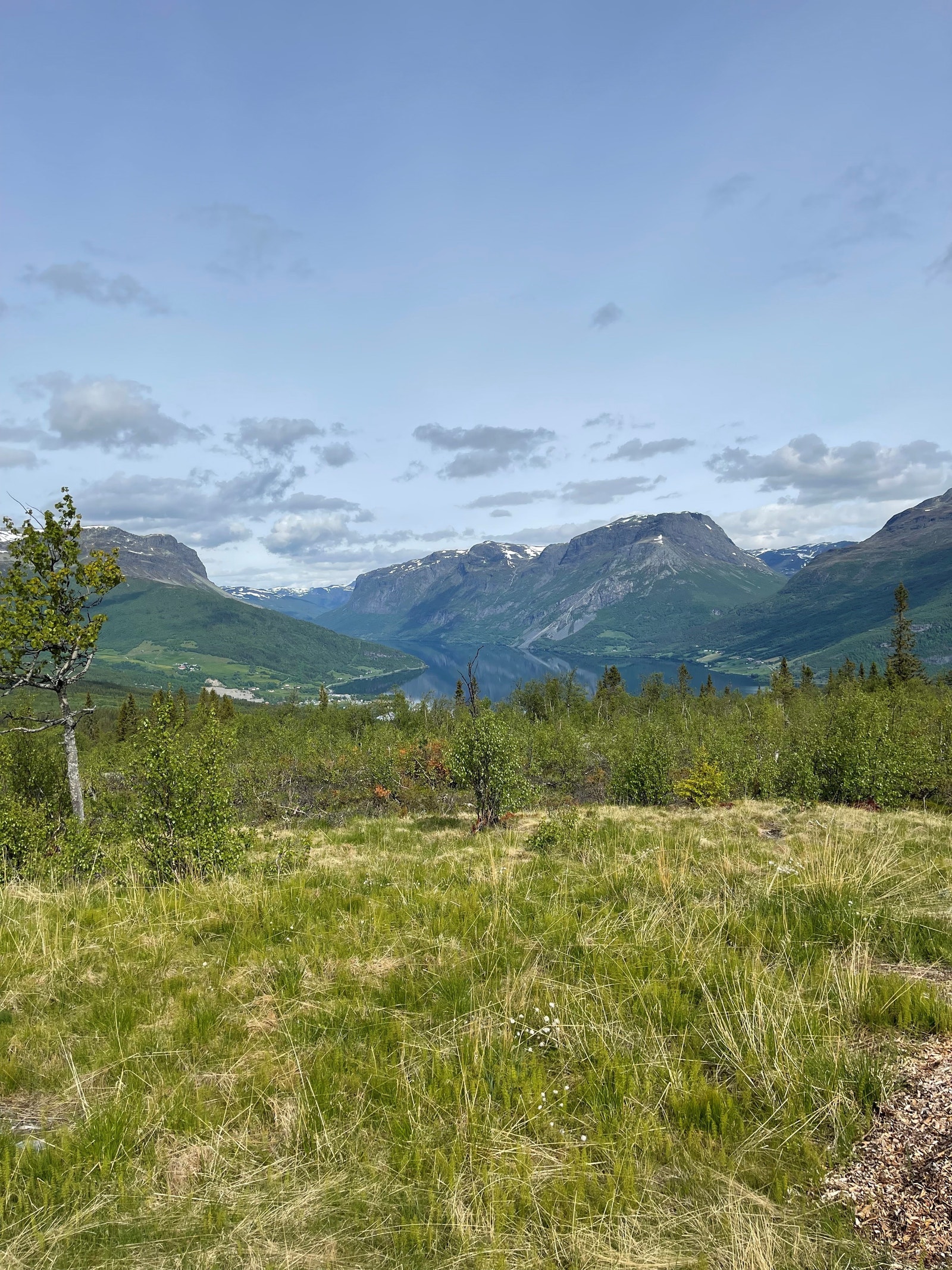 Utsikten fra tomt 1 Galleribilde