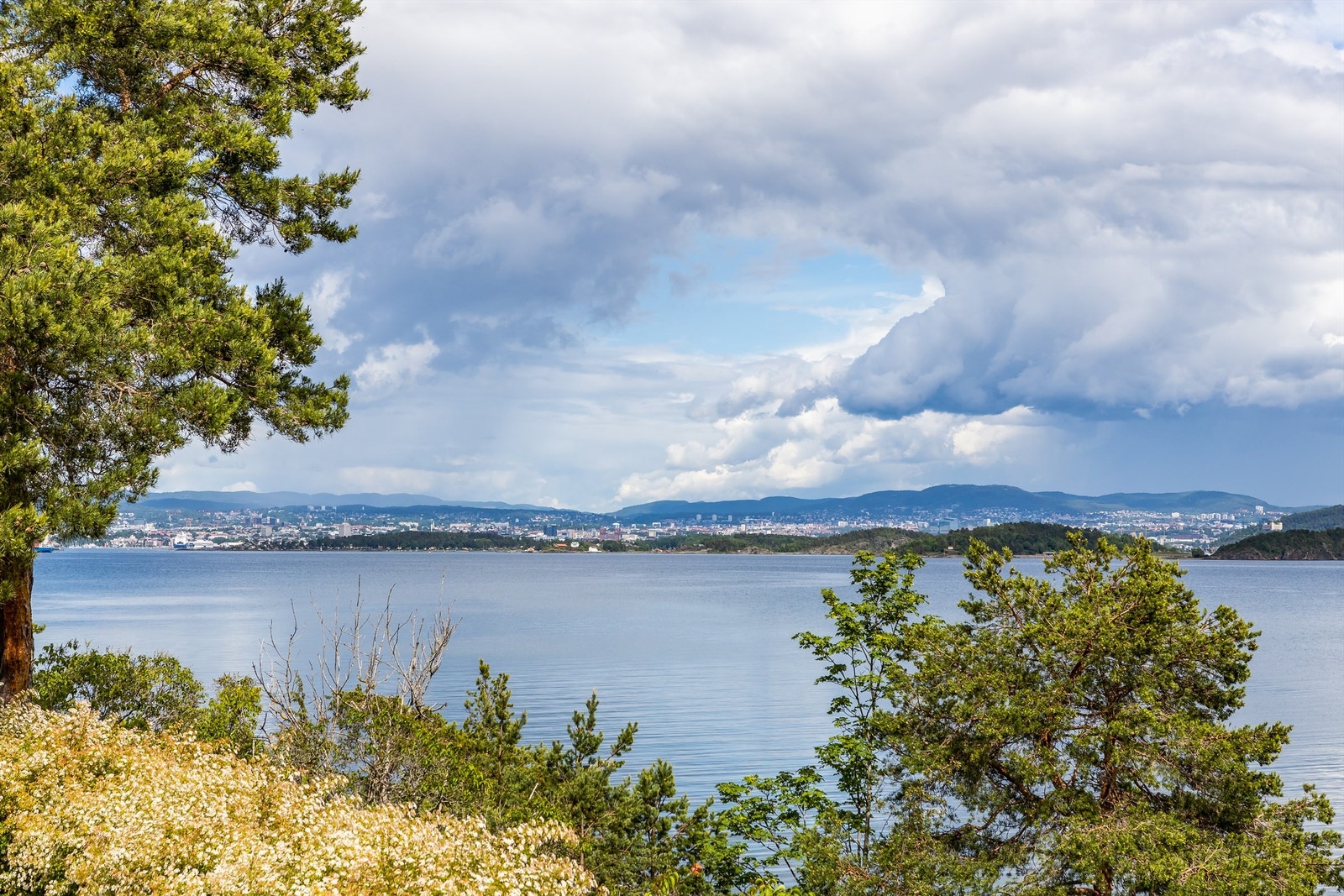 Flott utsikt til fjorden og Oslo Galleribilde