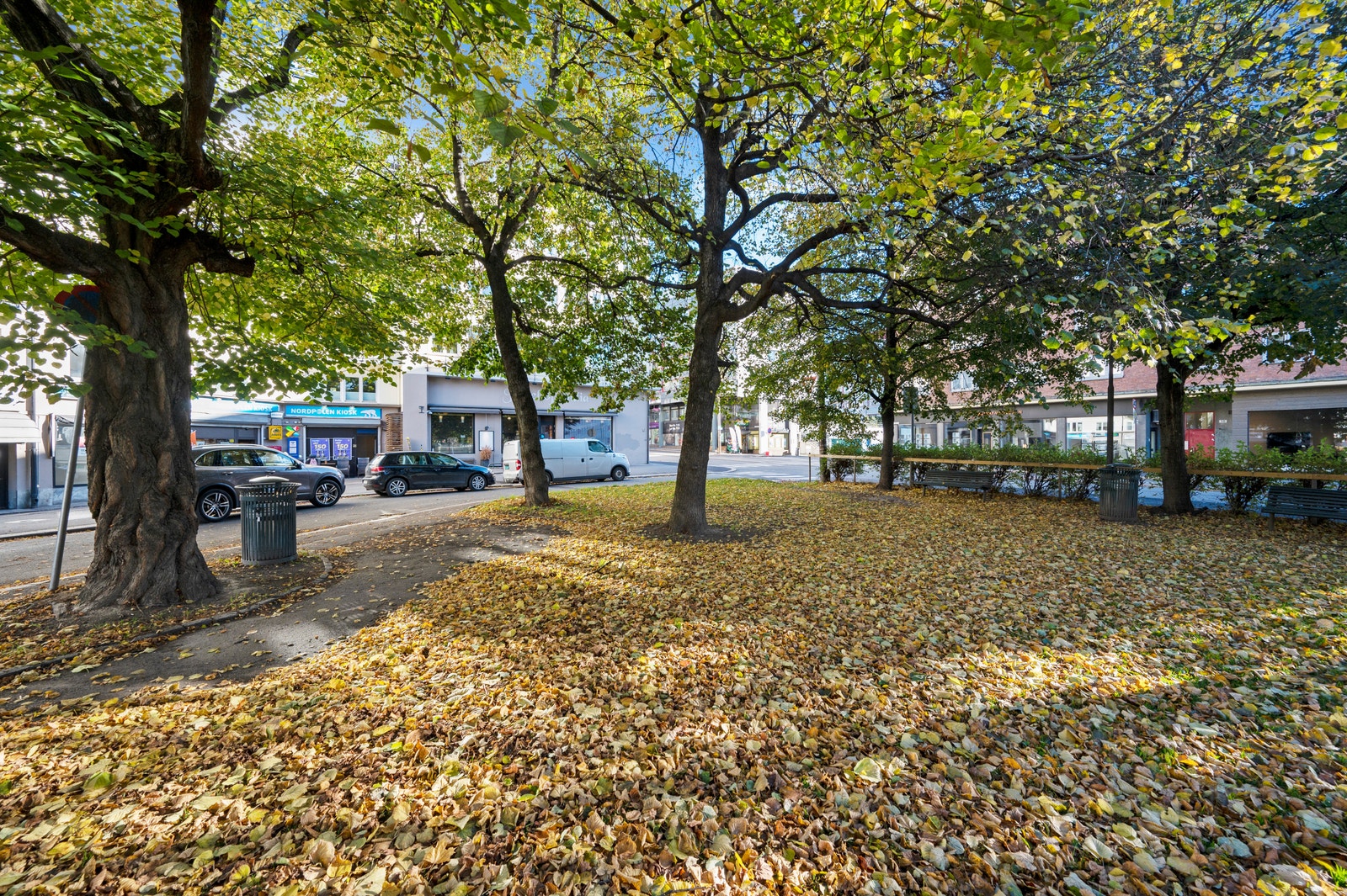 Uteområde. Grøntareale. Galleribilde