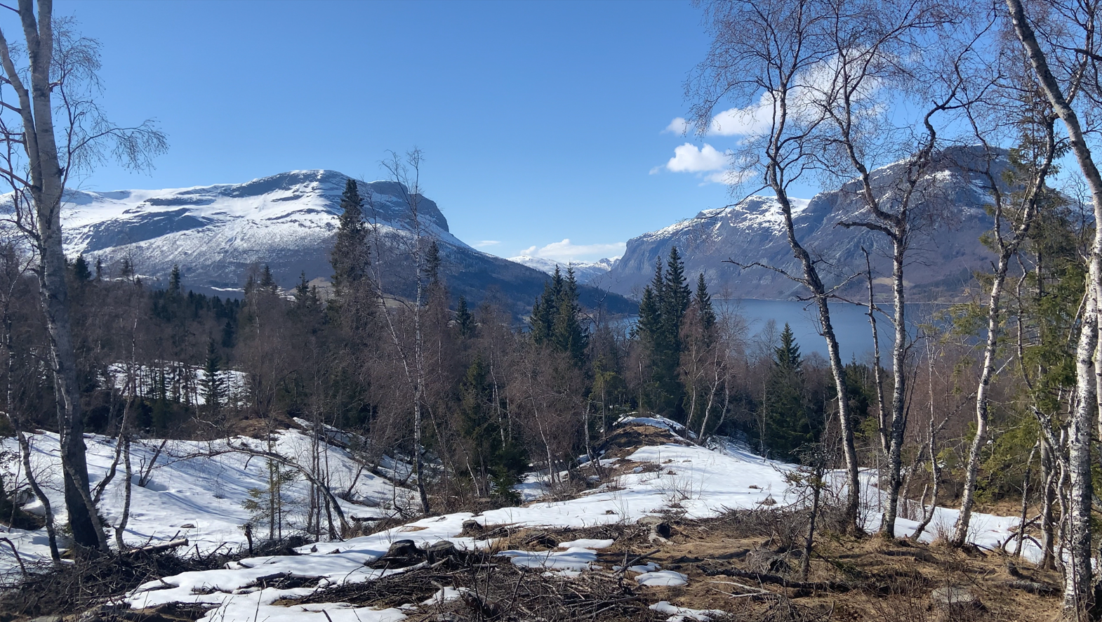 Utsikt fra tomten. Bildet er fra mai 2021. Galleribilde