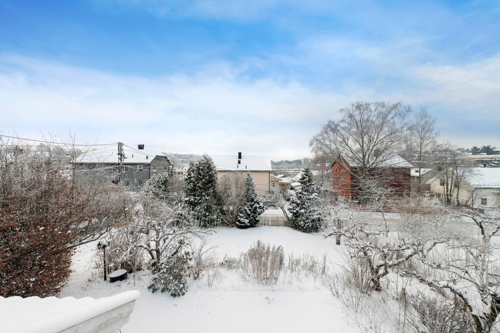 Hage vinter Galleribilde