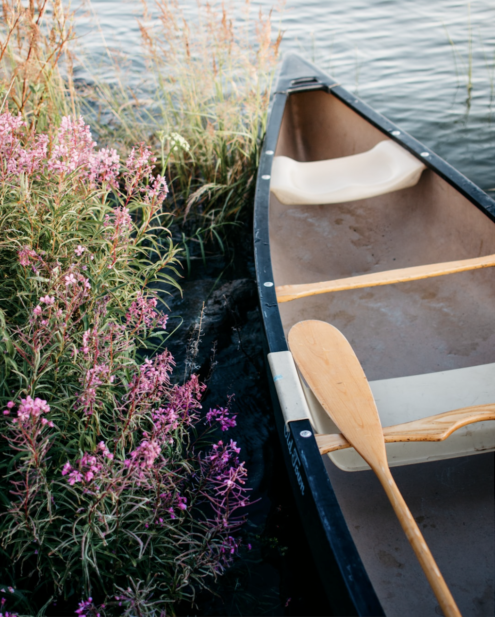 Flotte forhold for padling. Galleribilde
