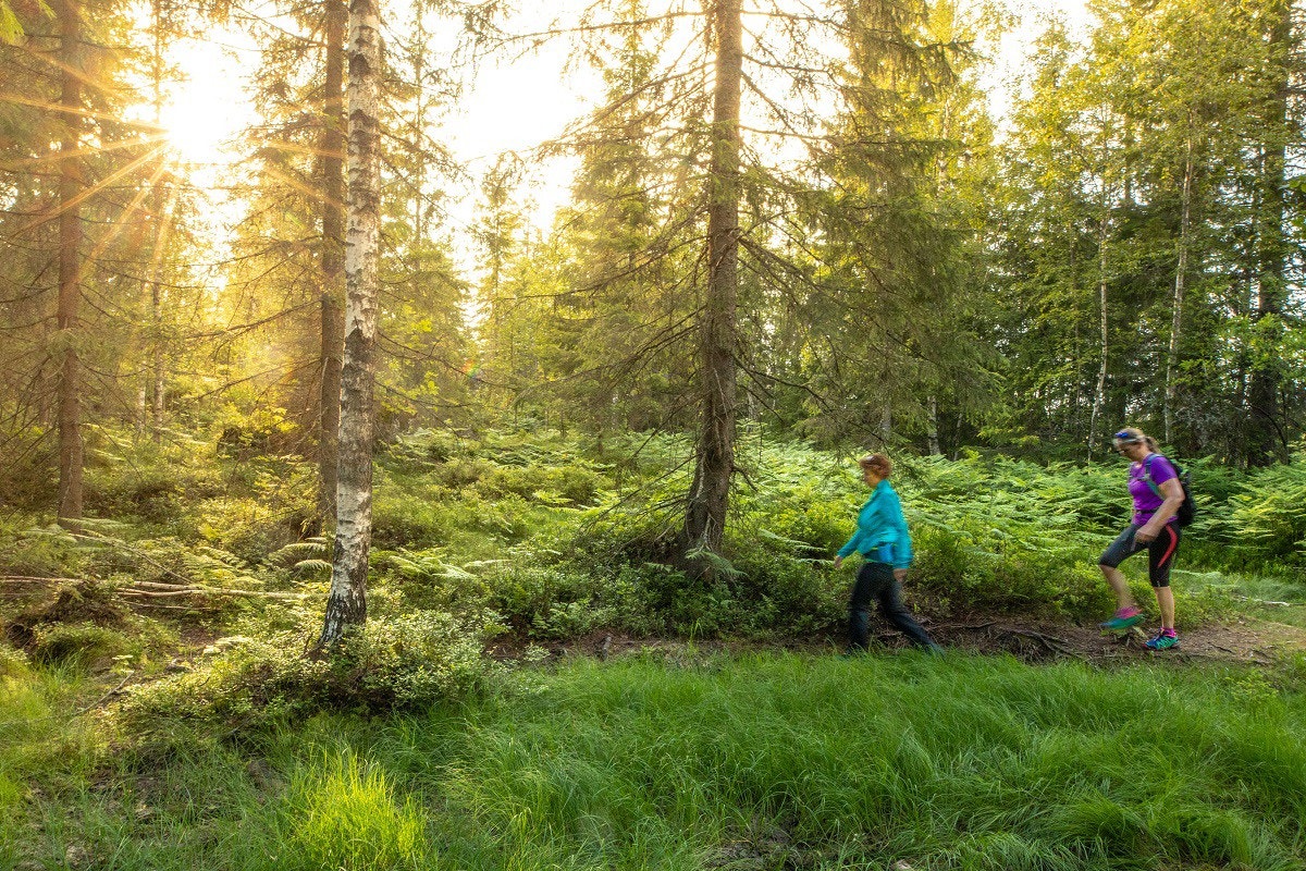 Eller kanskje dere vil ta en tur i marka? Galleribilde