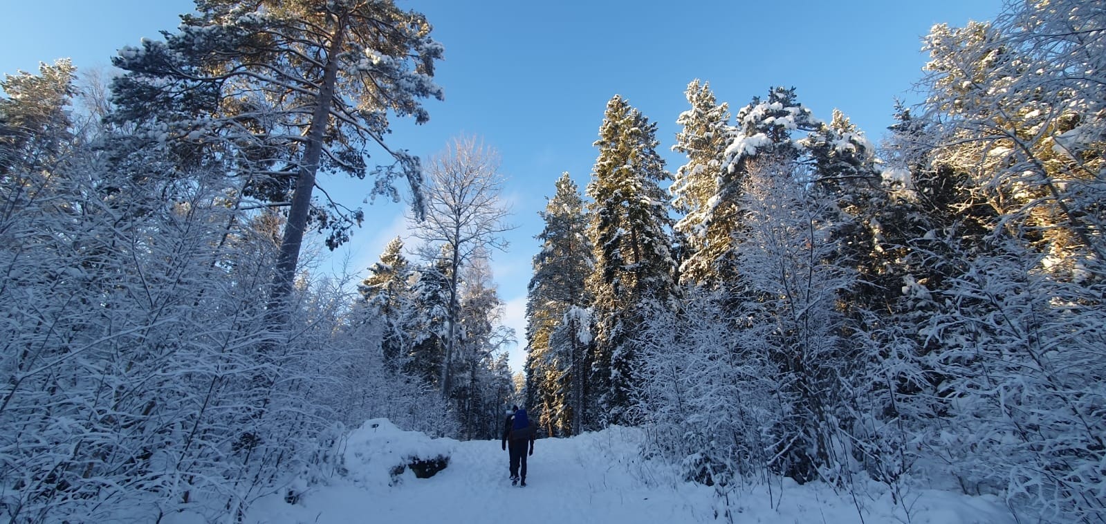 Marka som nabo Galleribilde