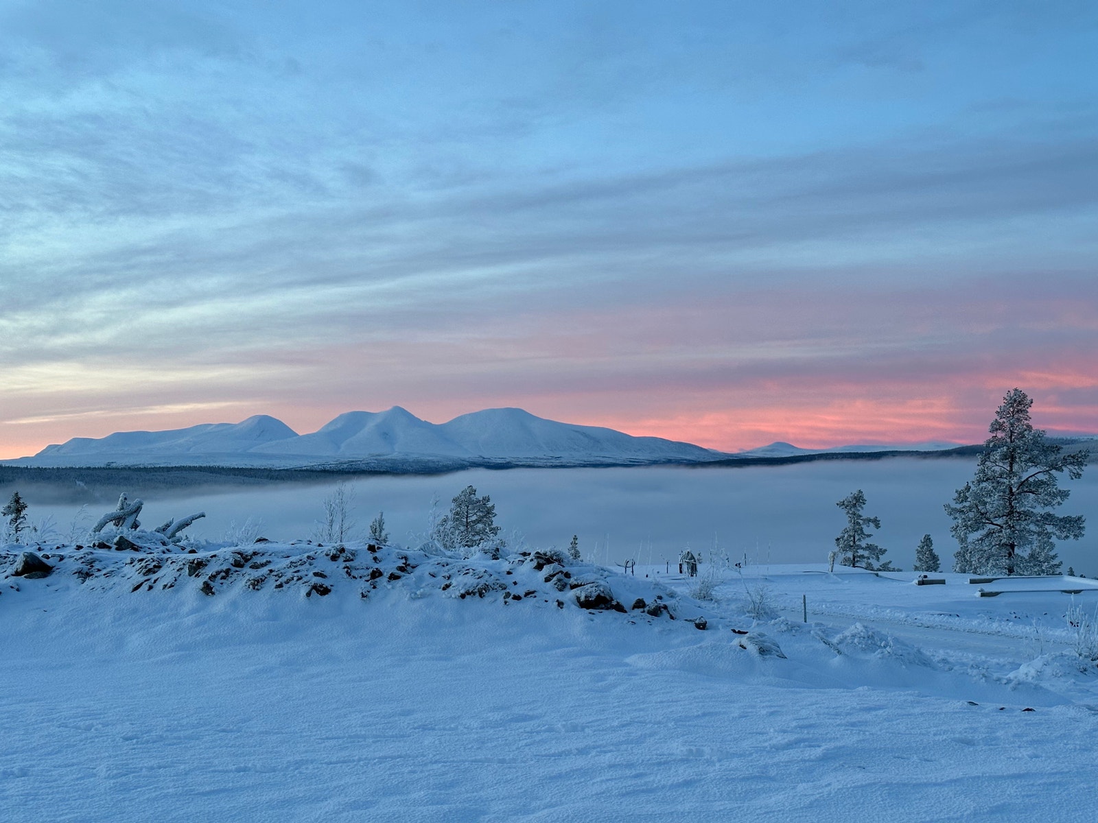 Sølen vinterlys. Galleribilde