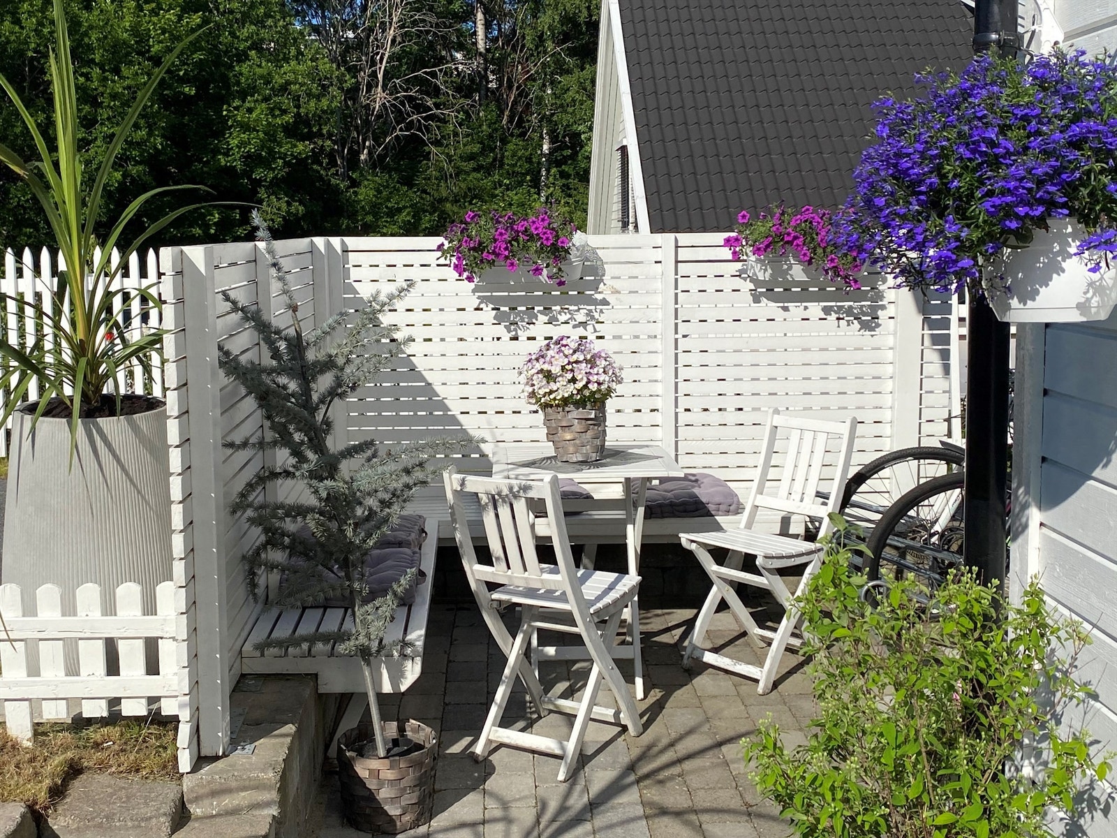 Selgers private sommerbilde Galleribilde