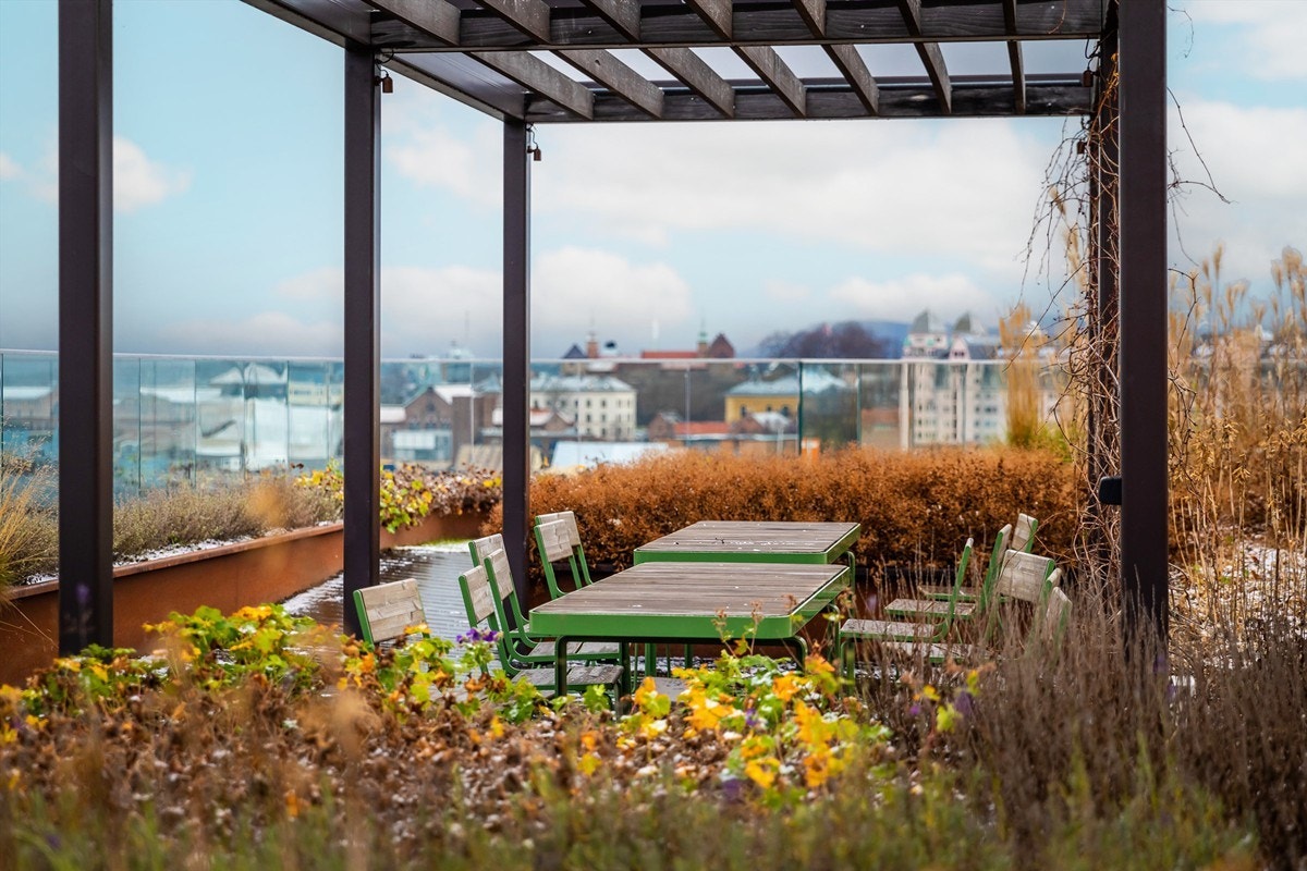 Felles takterrasse Galleribilde