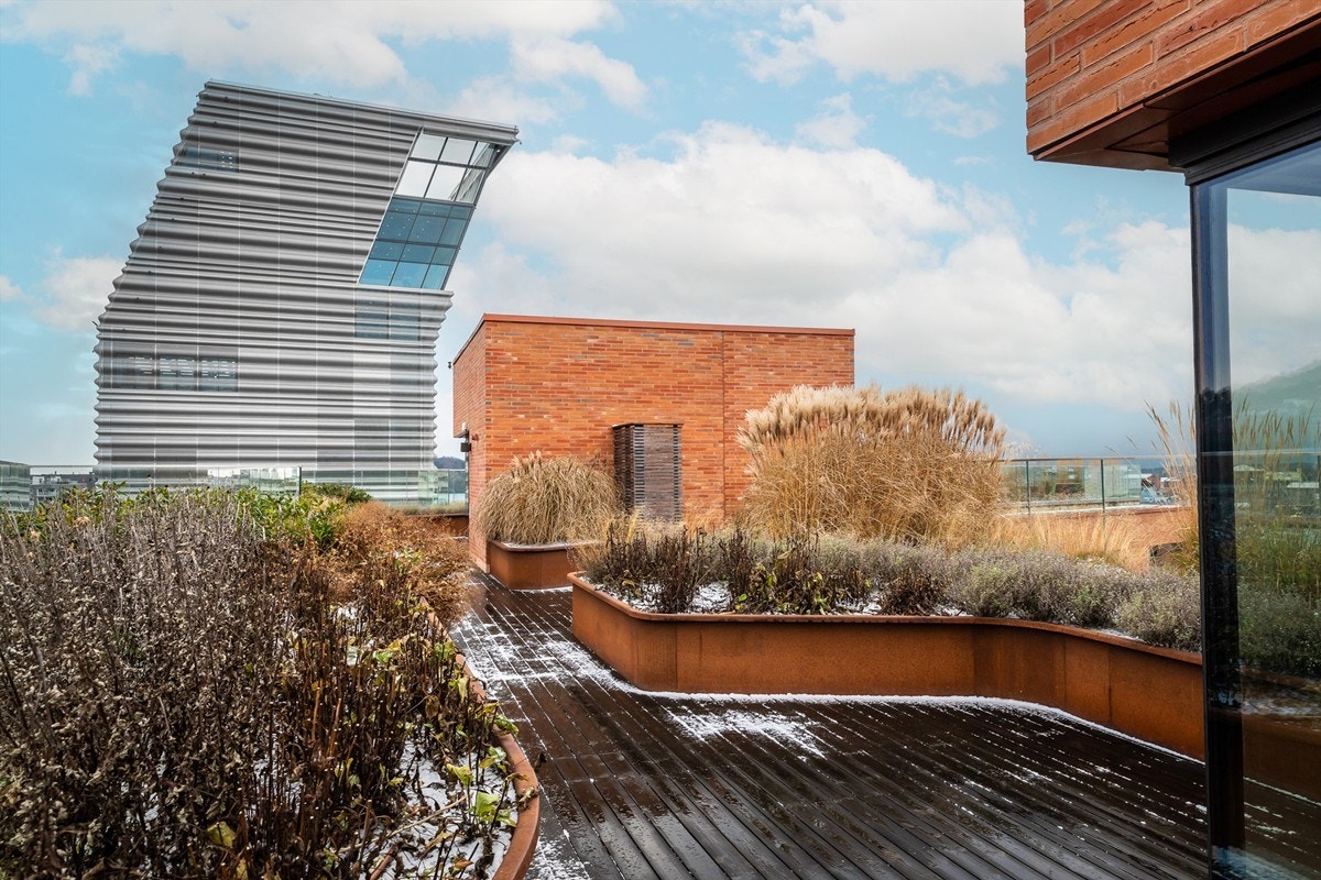 Felles takterrasse Galleribilde