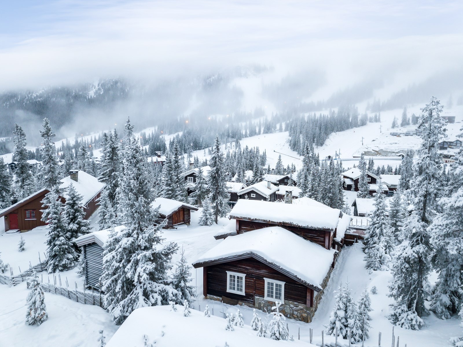 Hyttetunet ligger flott plassert på en forhøyning - Og omkranses av skog som naturlig begrenser innsyn. Galleribilde