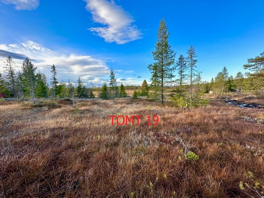 Tomteområde, Tomt 19 Galleribilde