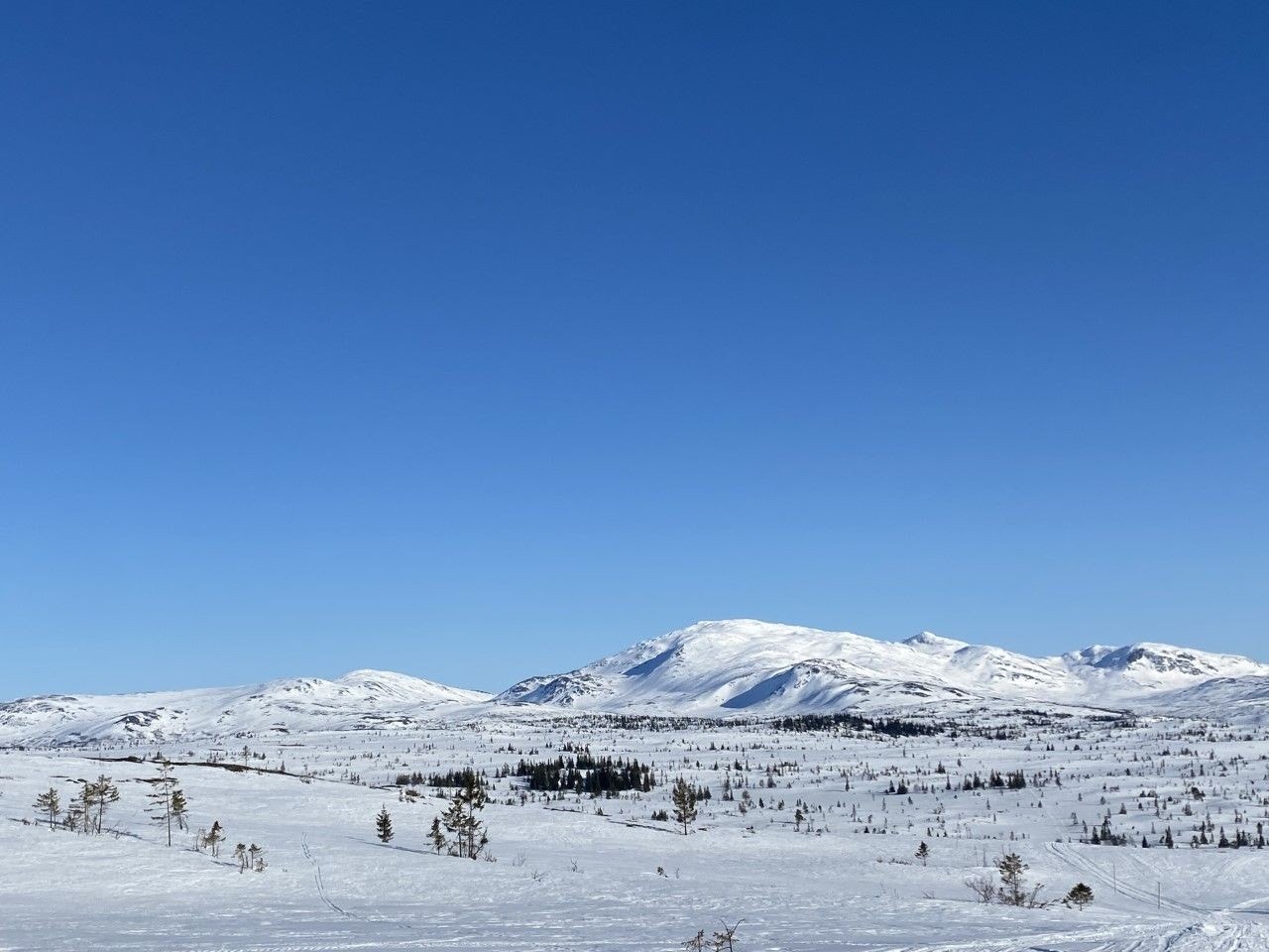 Inngangen til Skarvan og Roltdalen nasjonalpark, ligger kun noen kilometer fra hyttefeltet. Galleribilde