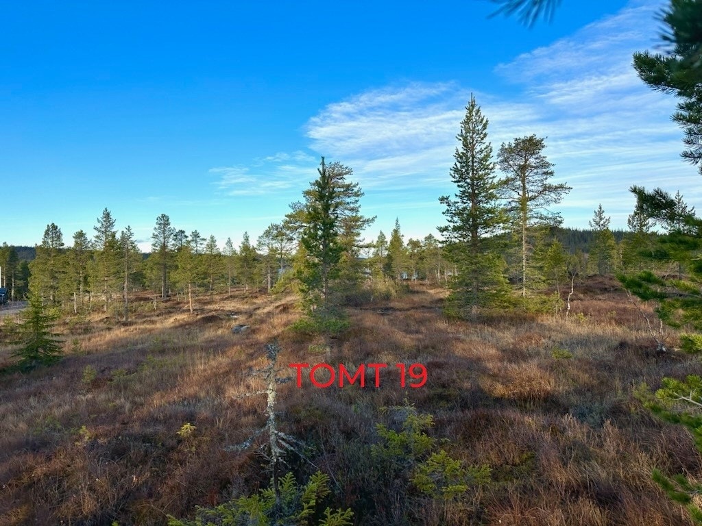 Tomteområde, Tomt 19 Galleribilde