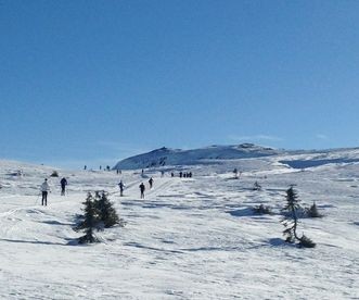 Mange skiturmuligheter rett utenfor hyttedøra, her på vei opp Ividalen Galleribilde