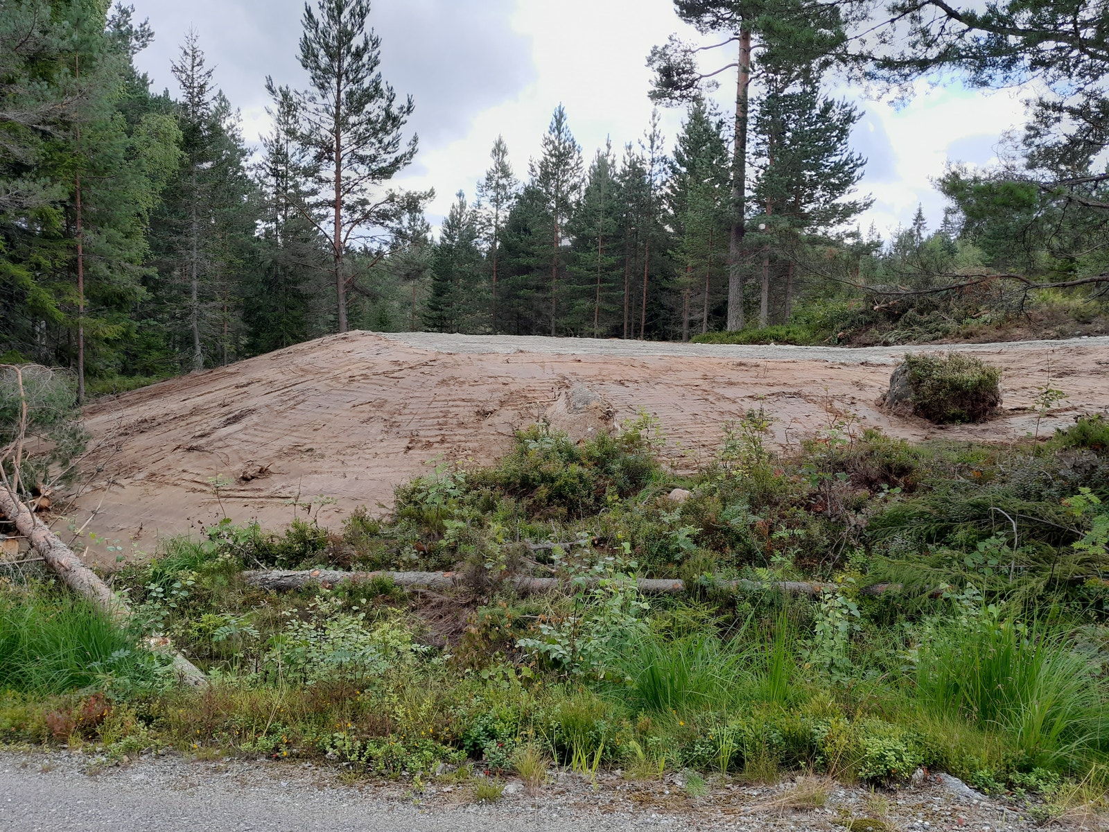 Tomt H36 Galleribilde