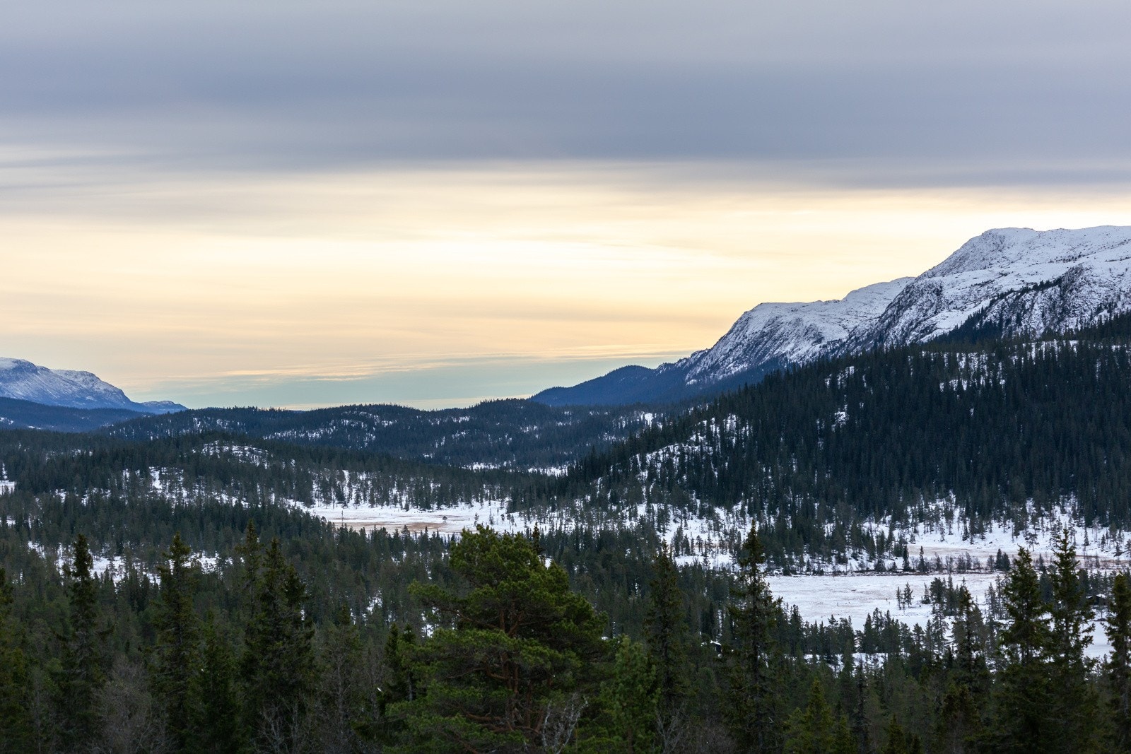 Utsiktsbilde. Galleribilde