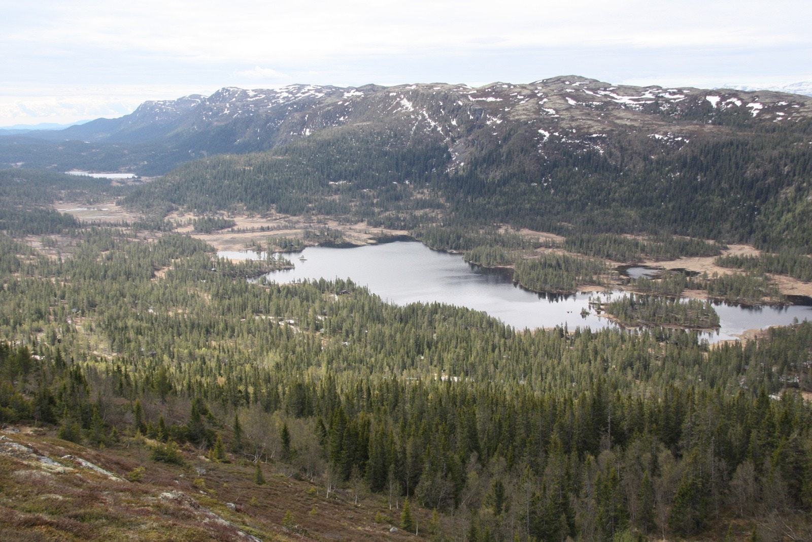 Selgers private bilder på sommerstid. Utsikt over Skirvedalen Galleribilde