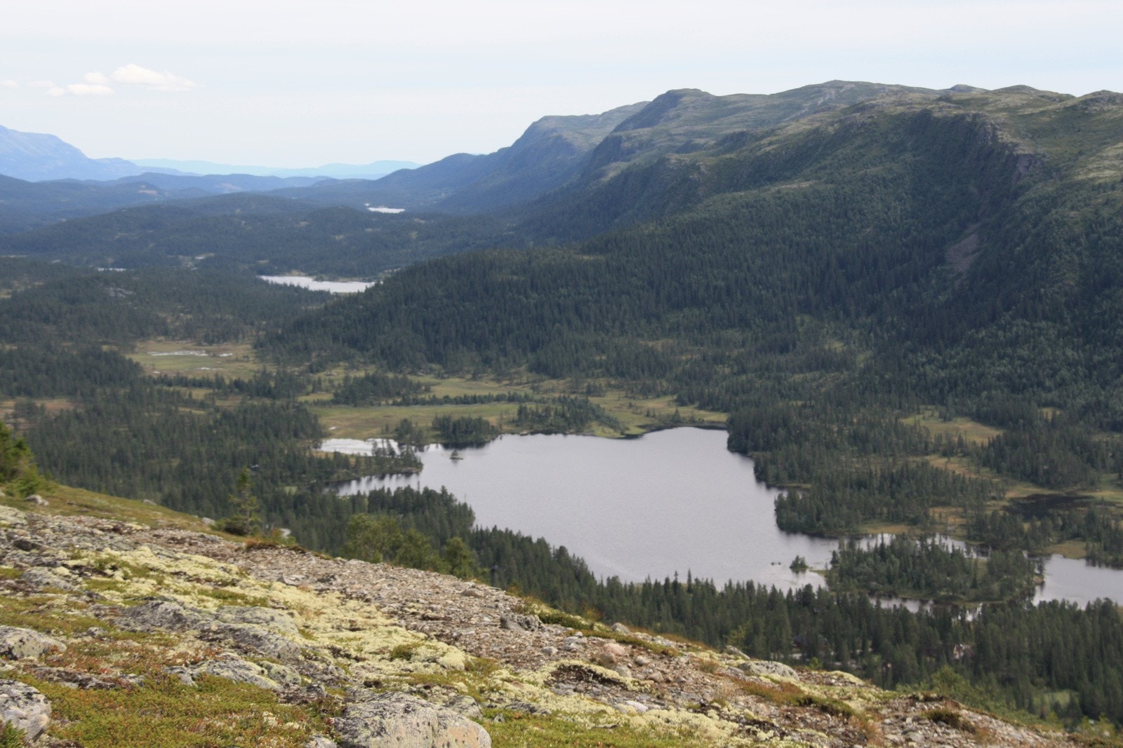 Selgers private bilder på sommerstid. Utsikt over Skirvedalen Galleribilde