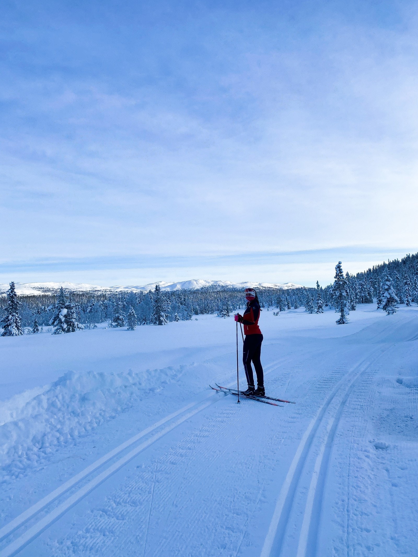 Skiløyper for hele familien og for den som er ekstra sporty. Alt er lagt til rette! Galleribilde