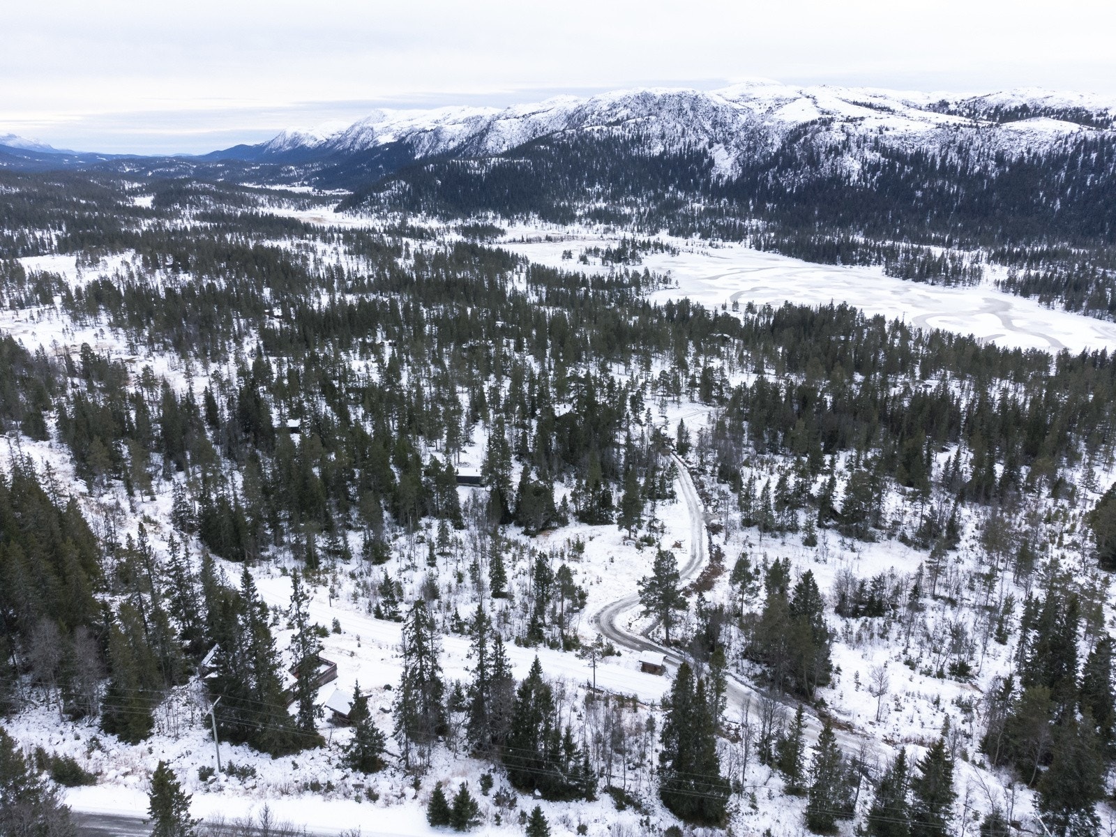 Tomtefelt A. Galleribilde