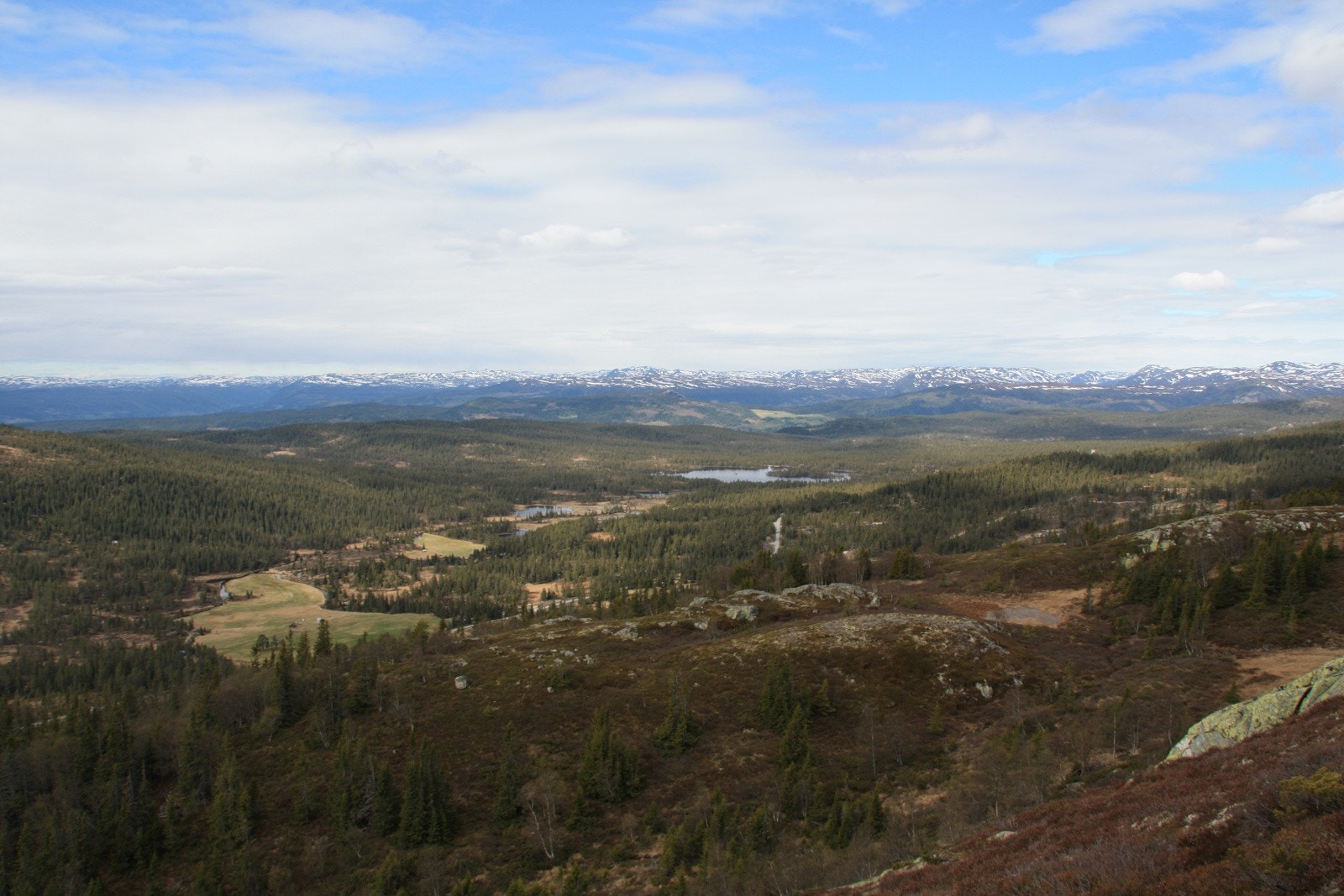 Selgers private bilder på sommerstid. Utsikt over Skirvedalen Galleribilde
