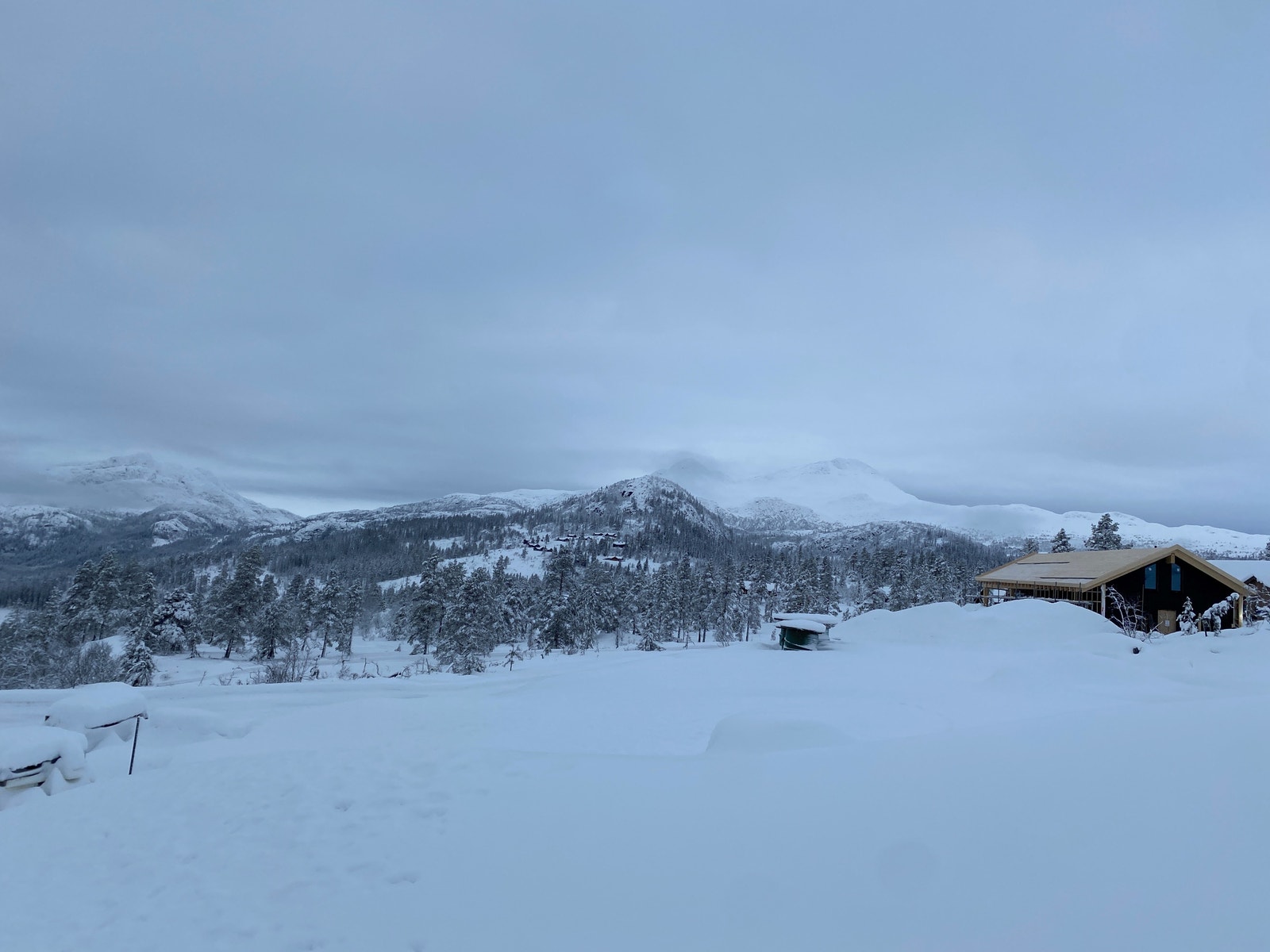 Bilde tatt 1.des 22 - bilde av tomta Galleribilde