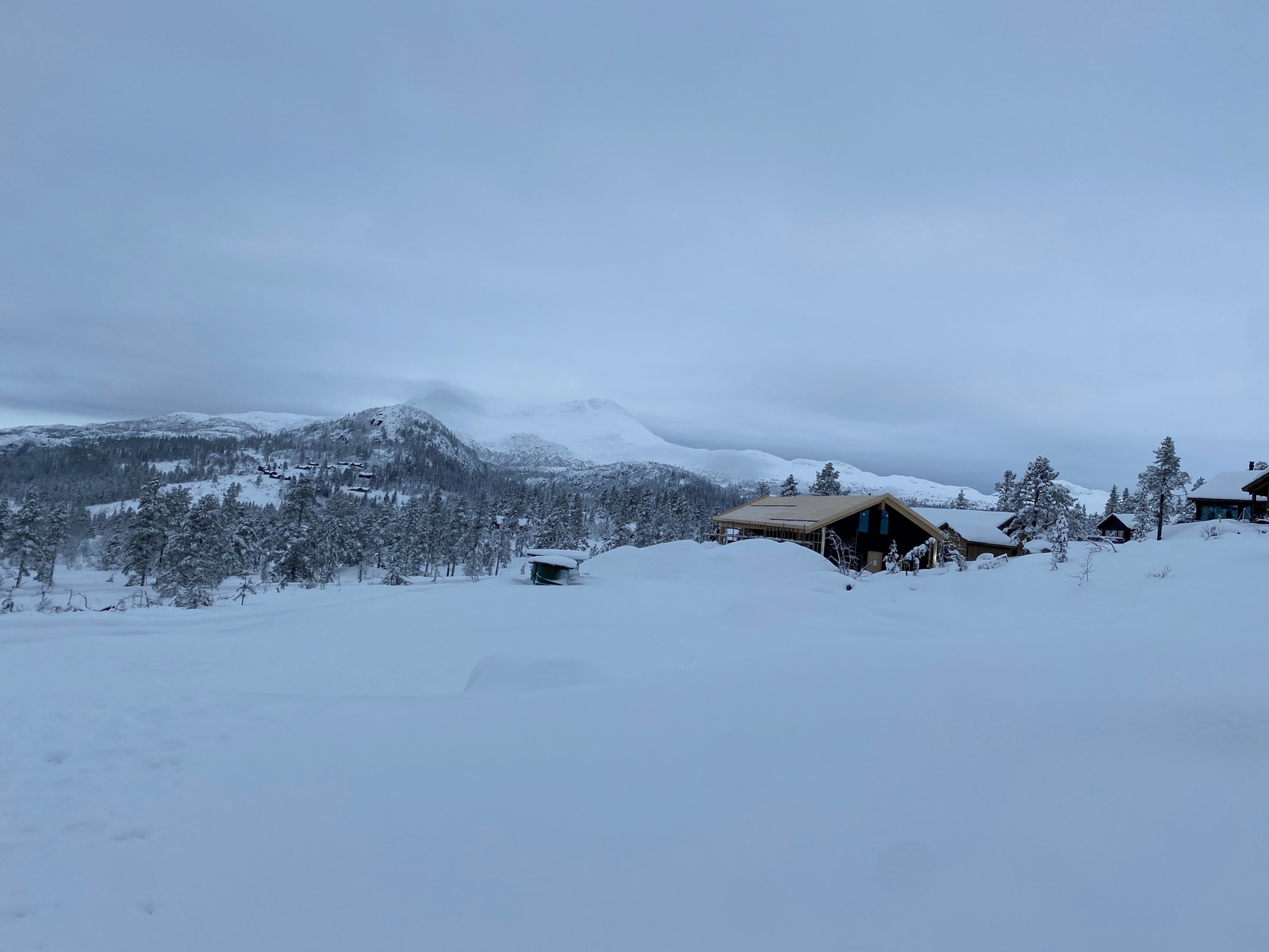 Bilde tatt 1.des 22 - bilde av tomta Galleribilde