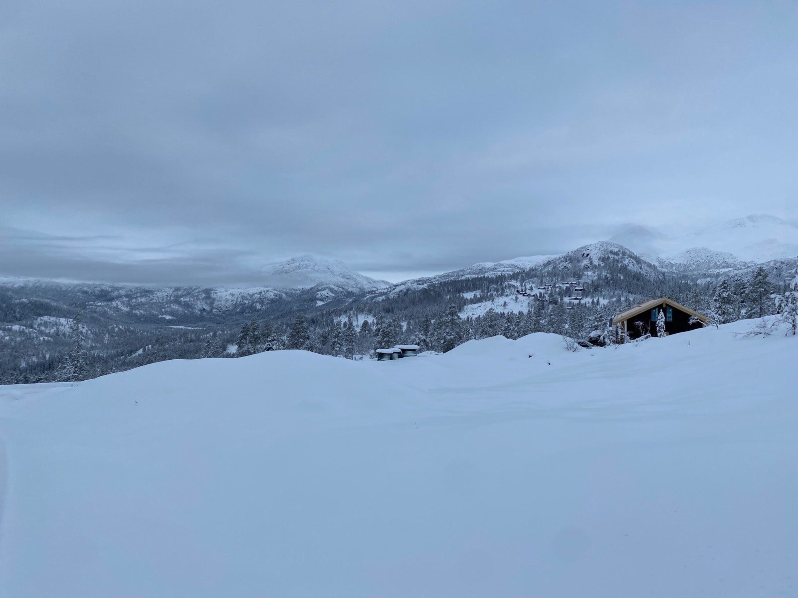 Bilde tatt 1.des 22 - bilde av tomta Galleribilde