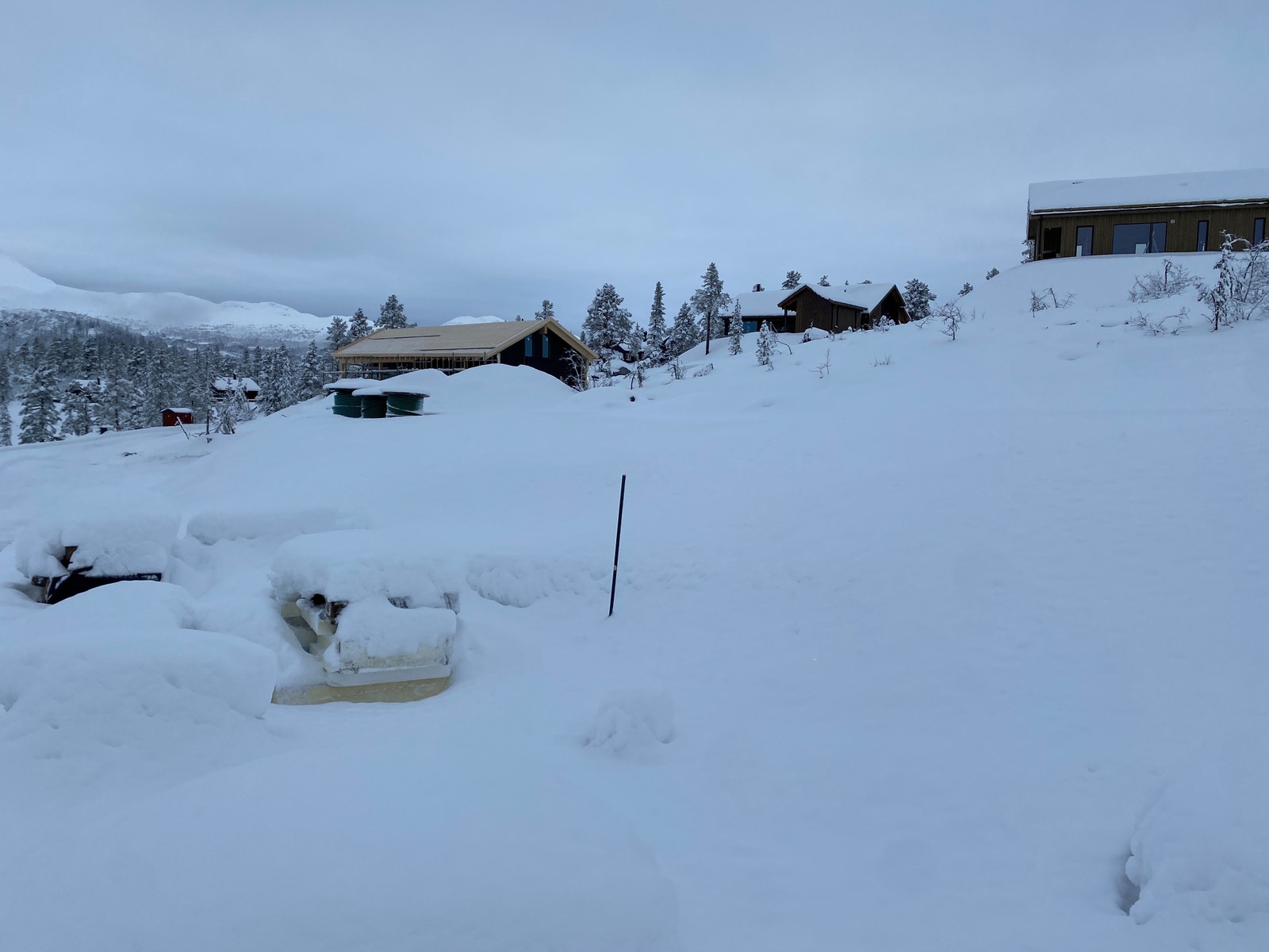 Bilde tatt 1.des 22 - bilde av tomta Galleribilde