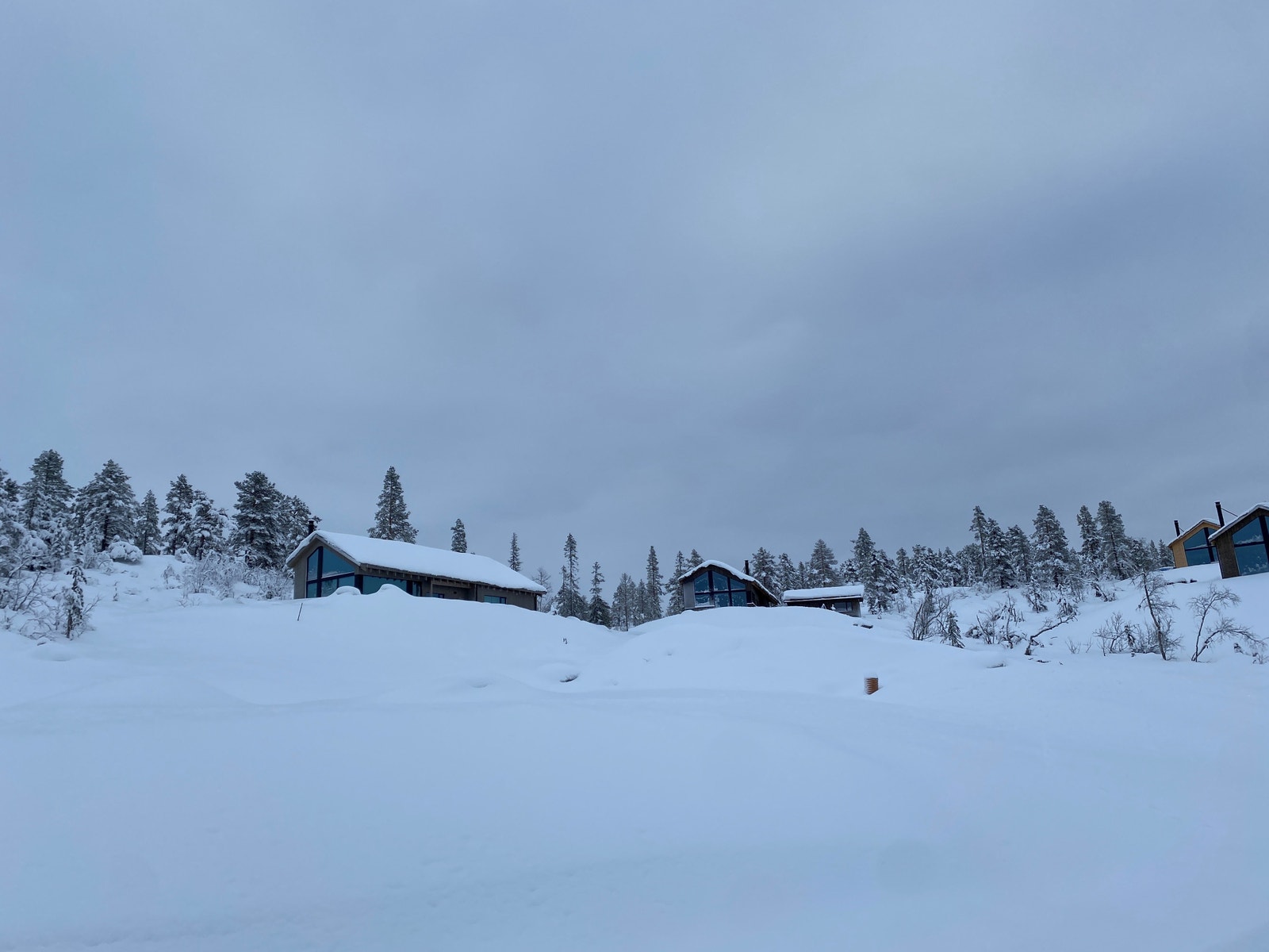 Bilde tatt 1.des 22 - bilde av tomta Galleribilde